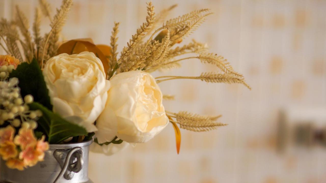 Bed & Breakfast La Pilona Bagnolo San Vito Экстерьер фото
